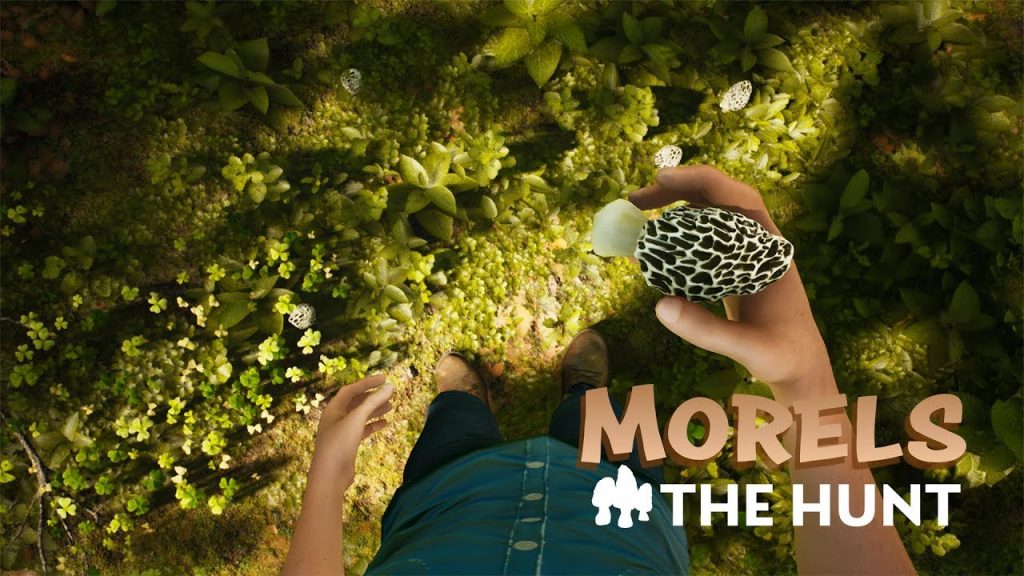 Morels The Hunt Hints for Golden Morels and Collectibles GamePretty