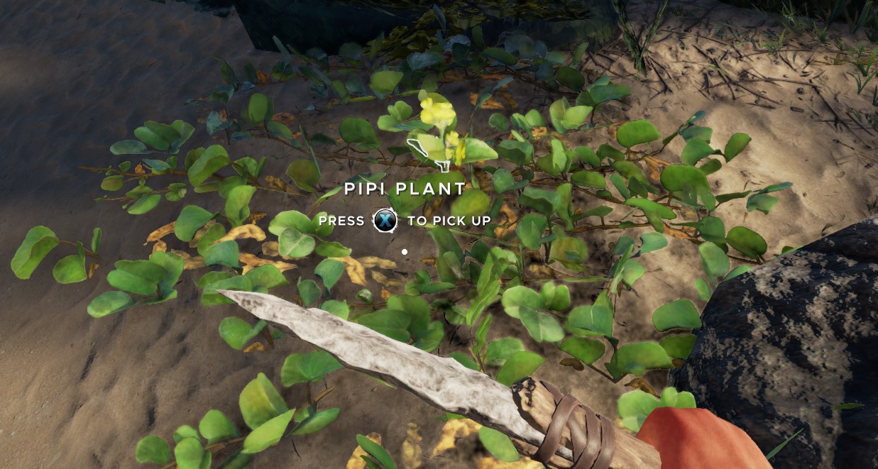 stranded deep pipi plant